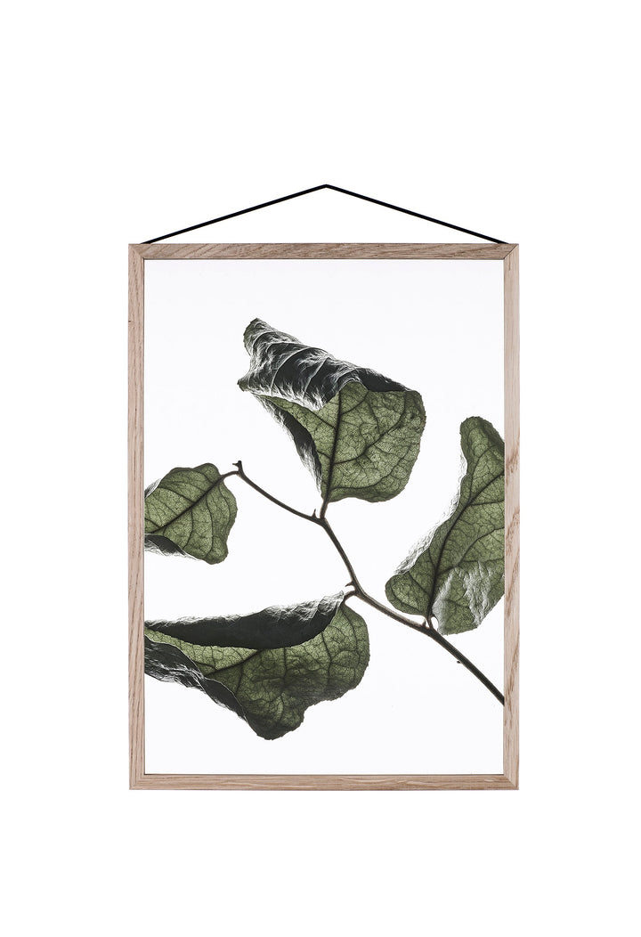 Durchsichtiges Poster - FLOATING LEAVES | Moebe