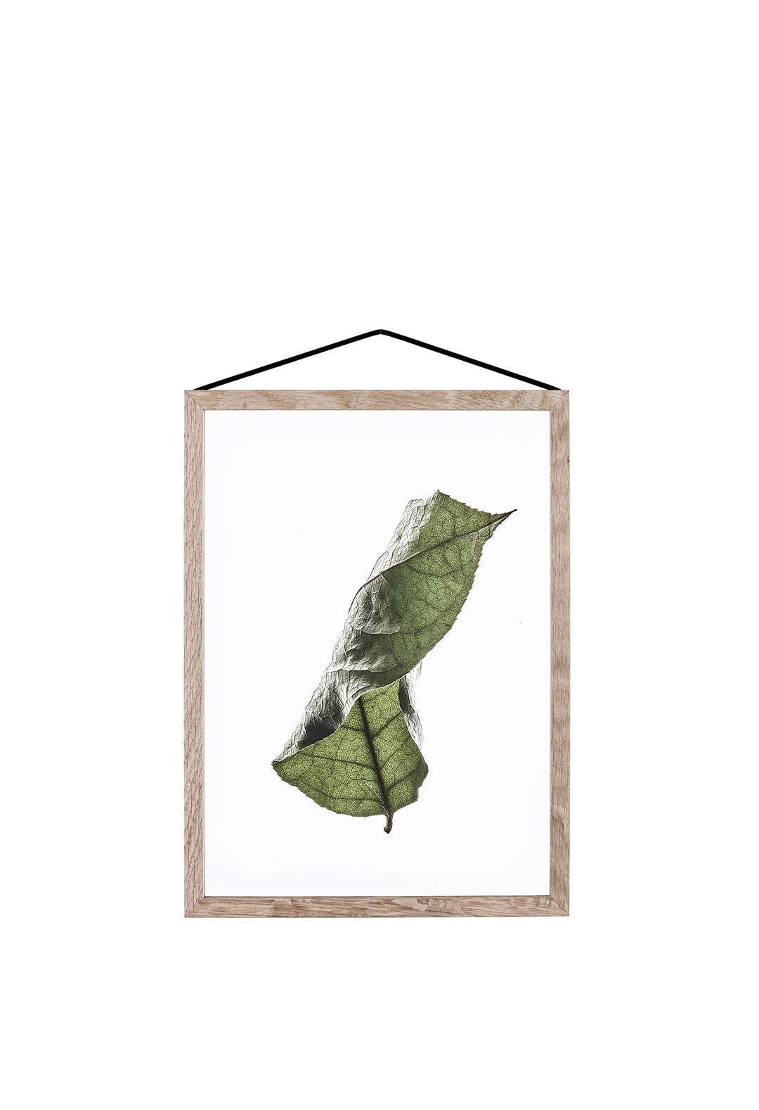 Durchsichtiges Poster - FLOATING LEAVES | Moebe