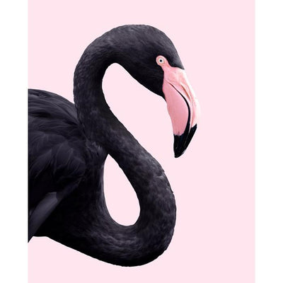 Wanddekoration 'Black Flamingo'